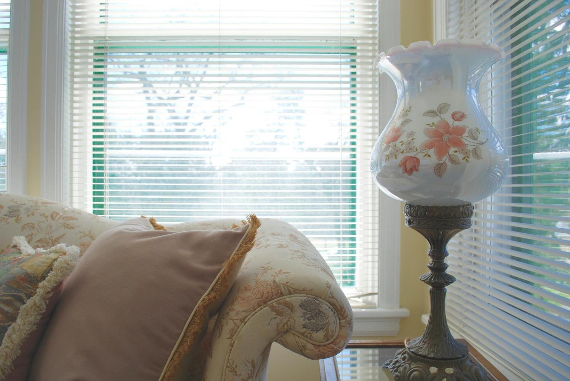 Anne's Washington (adults Only) 2*